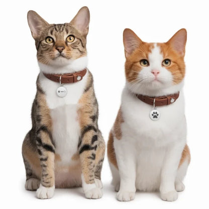 Pet Tags