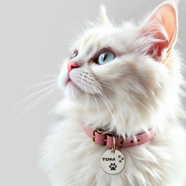 Pet Tags